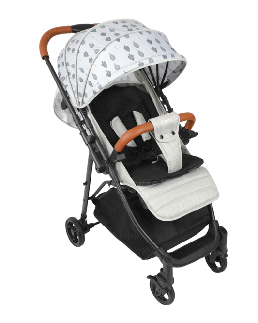 Coche Paseo Forest Infanti
